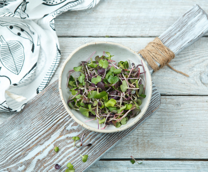 4125 Микрозелень редиса Вкусляндия 