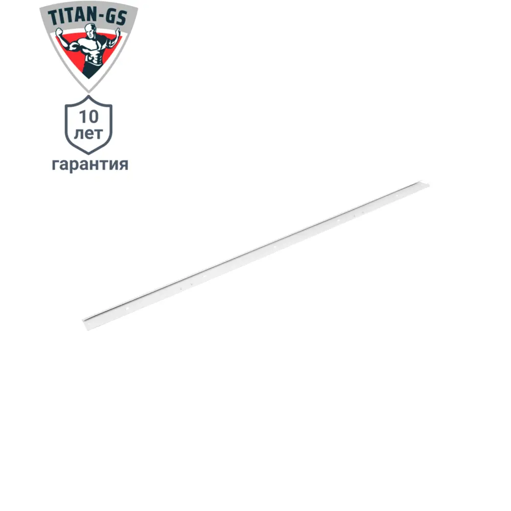Несущий рельс ТИТАН-GS 100 см для модульных систем хранения 82169057 STLM-0020968 - Вид №1