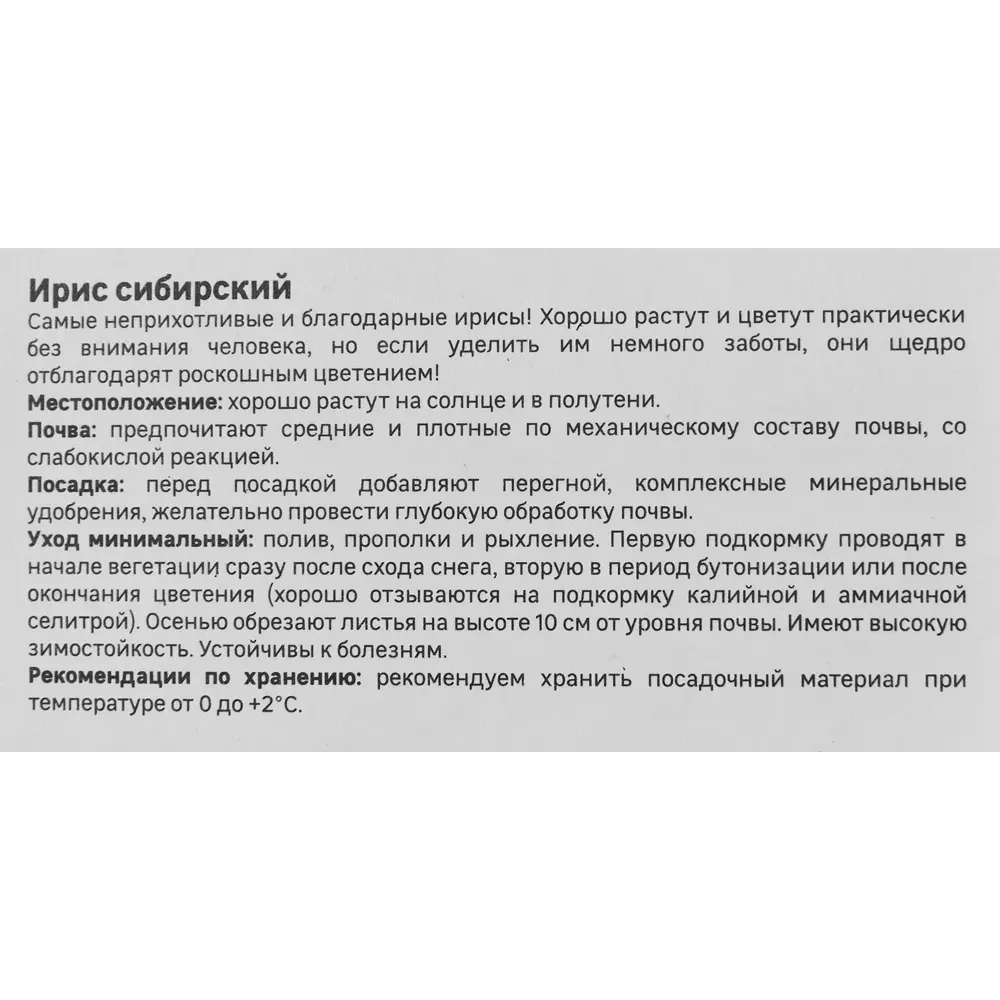 Ирис Geolia сибирский Кита-но-сейдза 86408573 STLM-2117381  - Вид №3