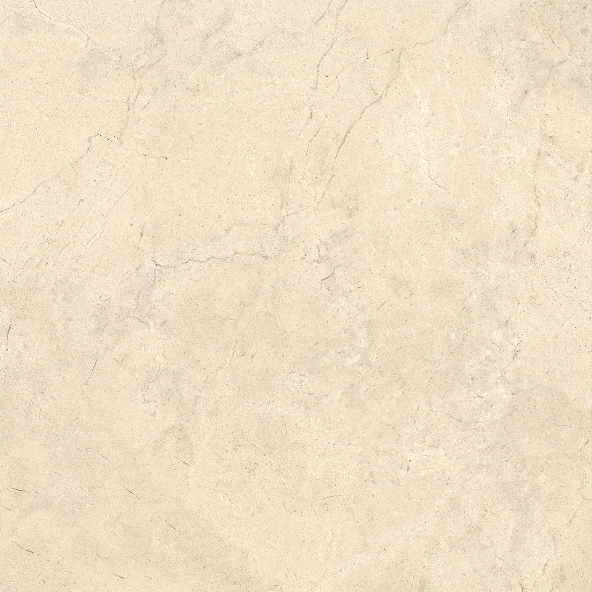 Пол / облицовка керамогранита с эффектом камня Italgraniti Calcis ARCH-00068879 - Вид №15