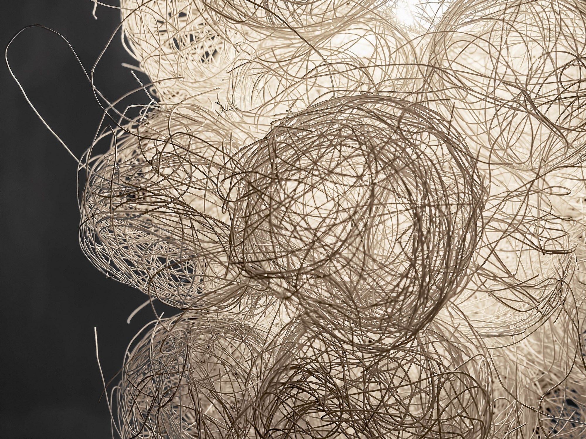 Светодиодный подвесной светильник из нержавеющей стали A-Emotional Light Blum ARCH-00150372 - Вид №4