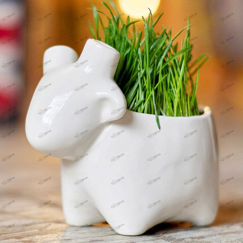 Набор для выращивания Eco Овечка ЭКОЧЕЛОВЕКИ 3003