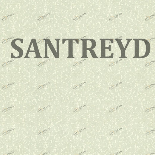 959635 Обои Rasch Maximum XV