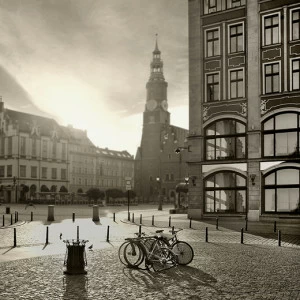 C1-162 Фотообои DIVINO Collection C 2.7х3 м