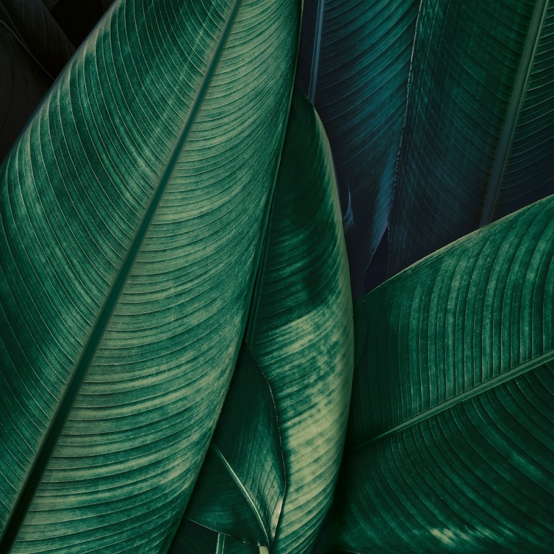 WP03078A Обои декоративные Adriani e Rossi  - Вид №1