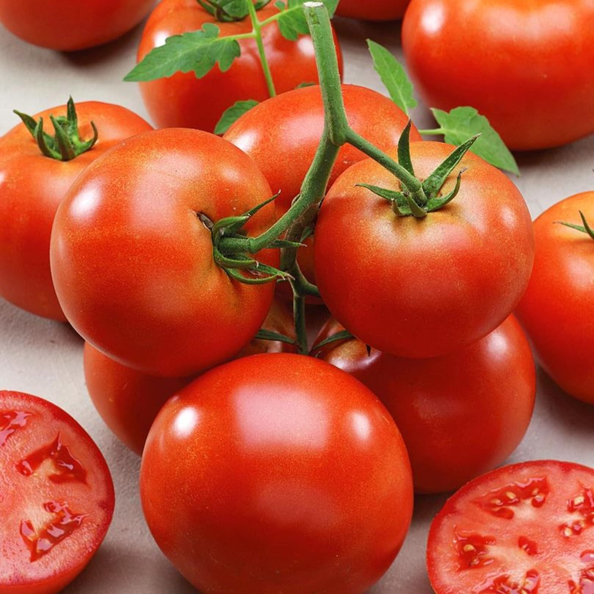 82585490 Томат в кассете, 6 шт Santreyd 