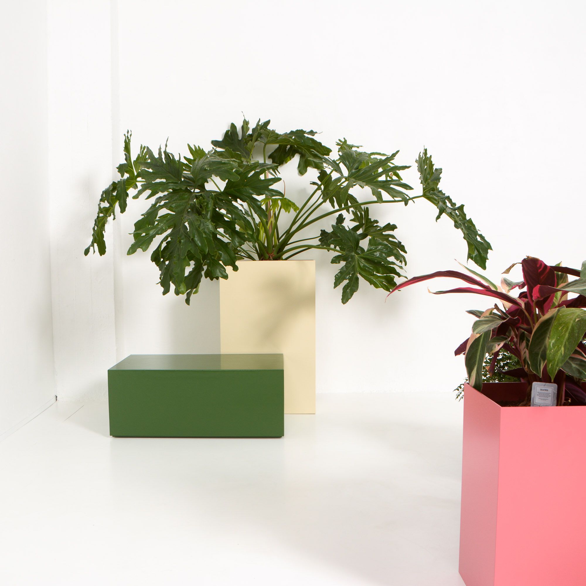 Прямоугольная алюминиевая плантатор с порошковым покрытием SIXINCH PLANTER ARCH-00109030 - Вид №9