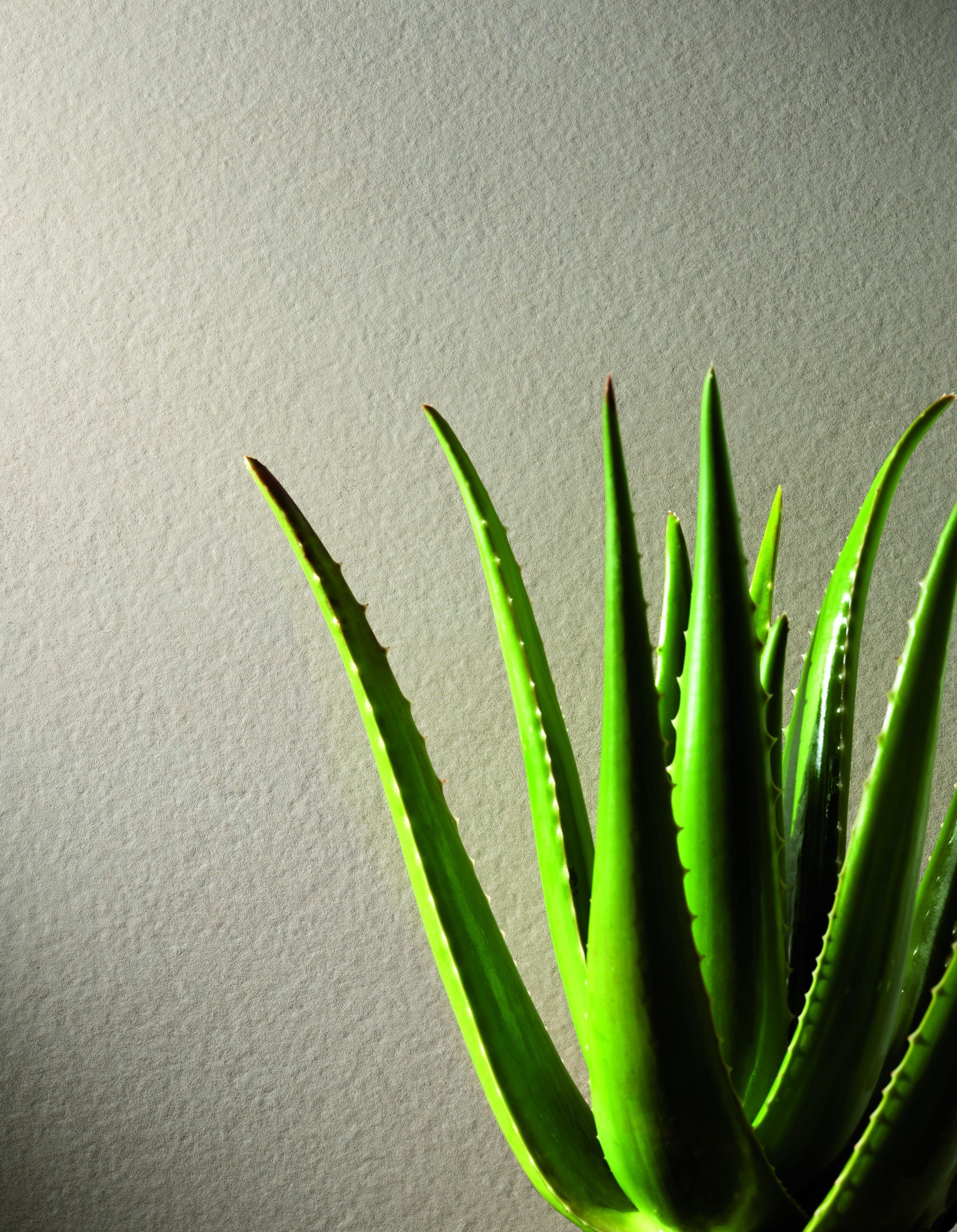 Пол / керамогранит FAP ceramiche Лето ARCH-00042915 - Вид №59