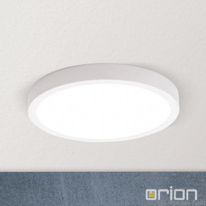 Orion DL 7-622/23 weiss светильник универсальный