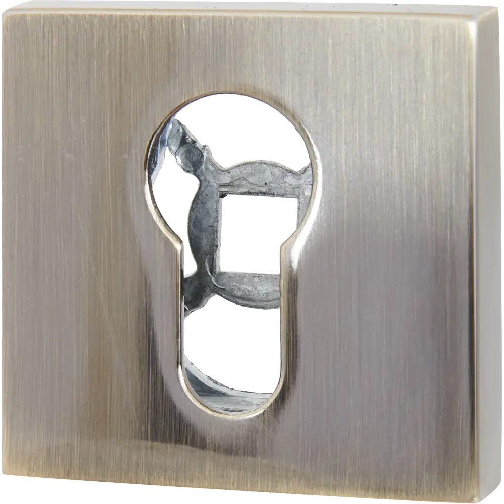 Накладка Santreyd ETQ49 для защиты цилиндрового механизма 85218310 STLM-0059944