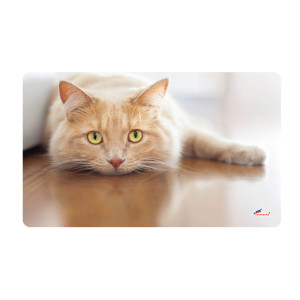 90082316 Коврик spring photoprint SH P125 60x90 см STLM-0105319 SHAHINTEX