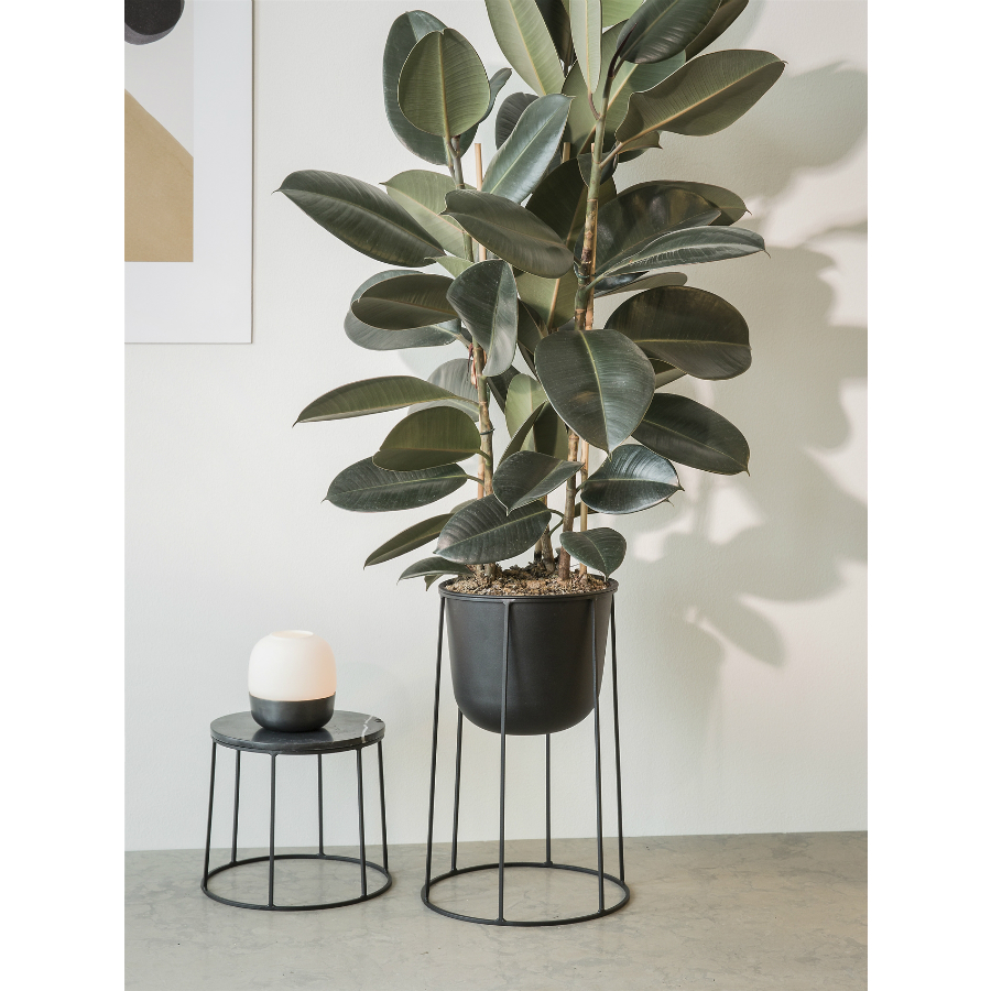 4770539 MENU Проволочная база Небольшая  - Вид №1