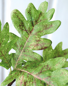 4856 860 a3 Искусственный дуб спрей, 86 см, зелено-коричневый H-andreas