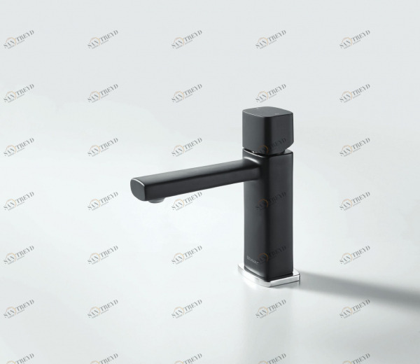 Смеситель для умывальника (черный) RAEL F199153BLK bravat