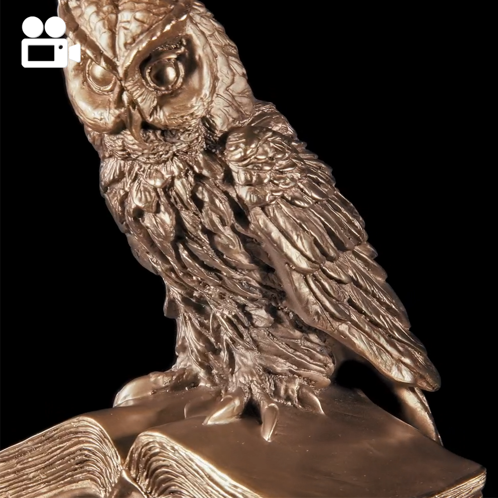 22378 Статуэтка Ученый Филин 20 см Бронза BOGACHO 4627138239445