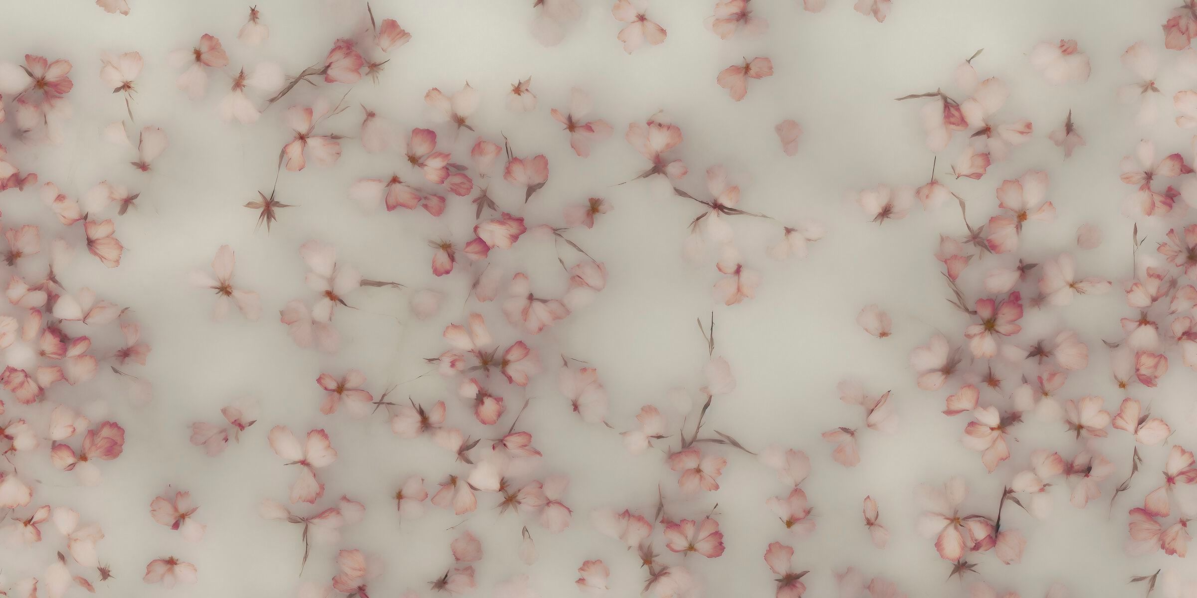 Обои с цветочными мотивами MILLE997 Floral Dream ARCH-00099225 - Вид №2