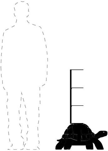 Qeeboo Книжный шкаф из металла и полиэтилена Turtle carry sun-id-1501938 - Вид №6