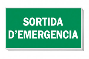 DST-529 Lisu Daisalux Светильники аварийные Серебристо-Серый