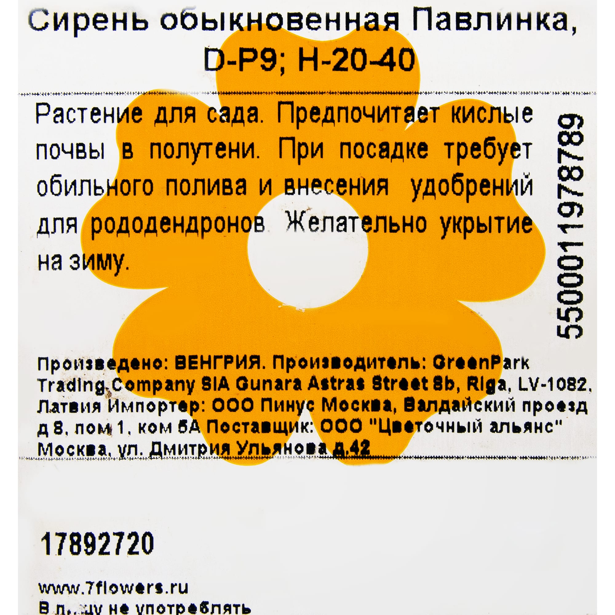 17892720 Сирень обыкновенная Павлинка P9 Santreyd 