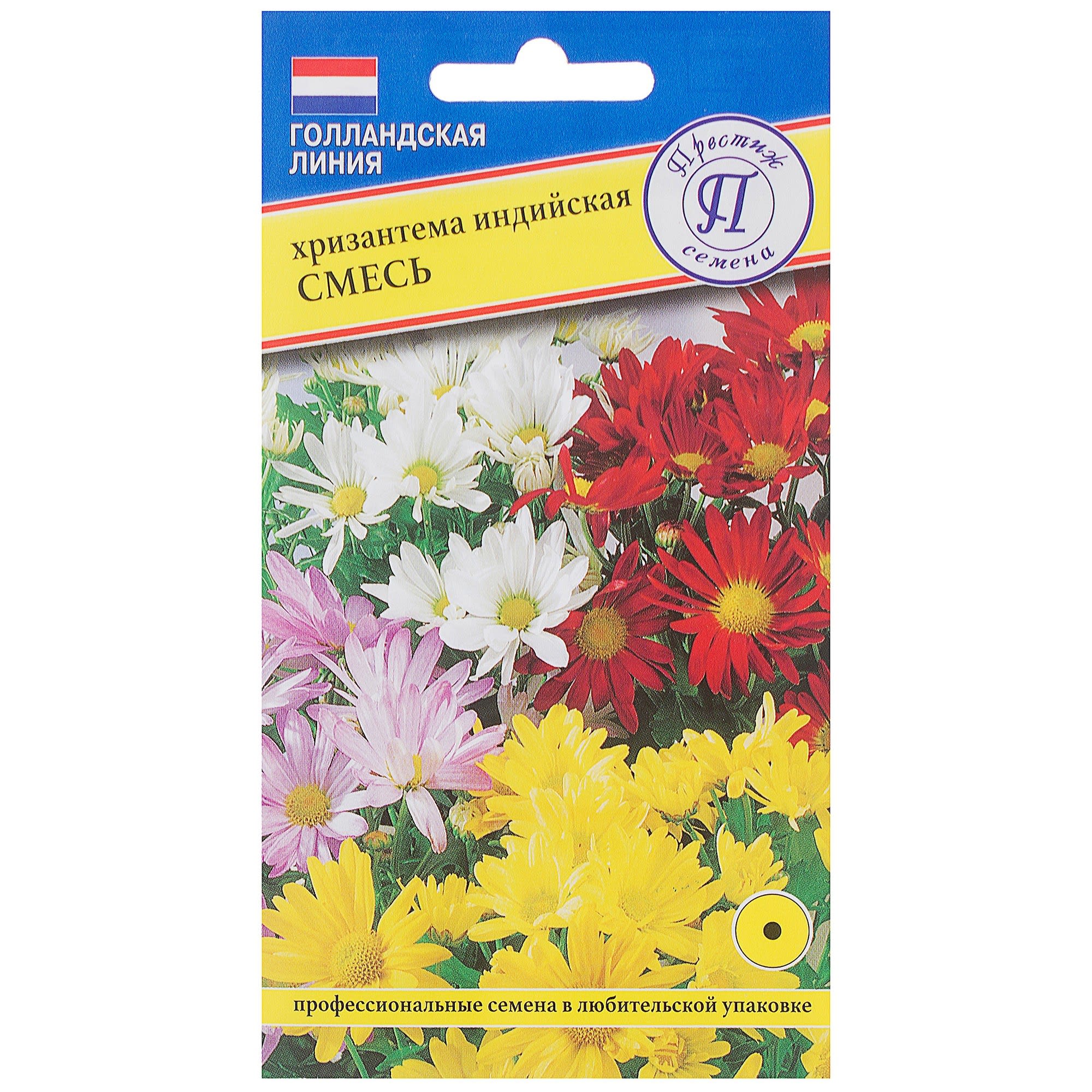 17301504 Хризантема индийская смесь Santreyd 