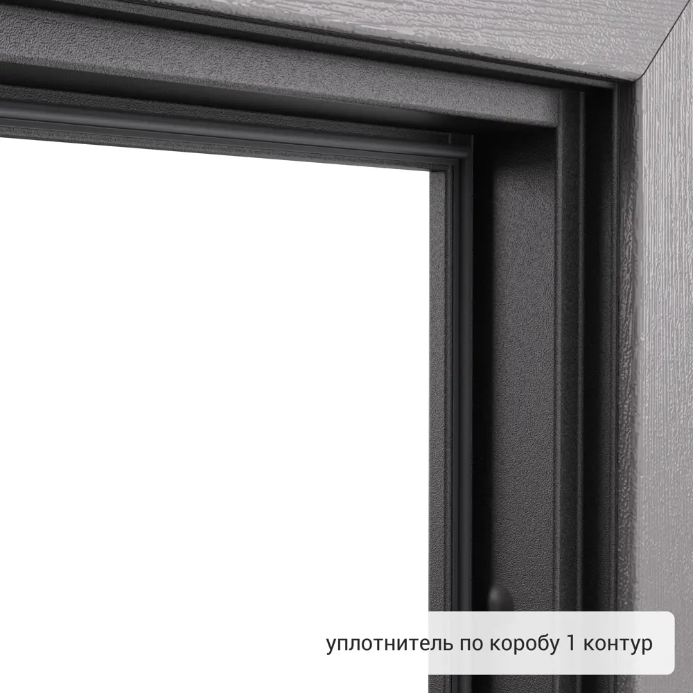 Дверь входная металлическая Хьюго 01 1000 мм правая TOREX STLM-2137199 - Вид №10