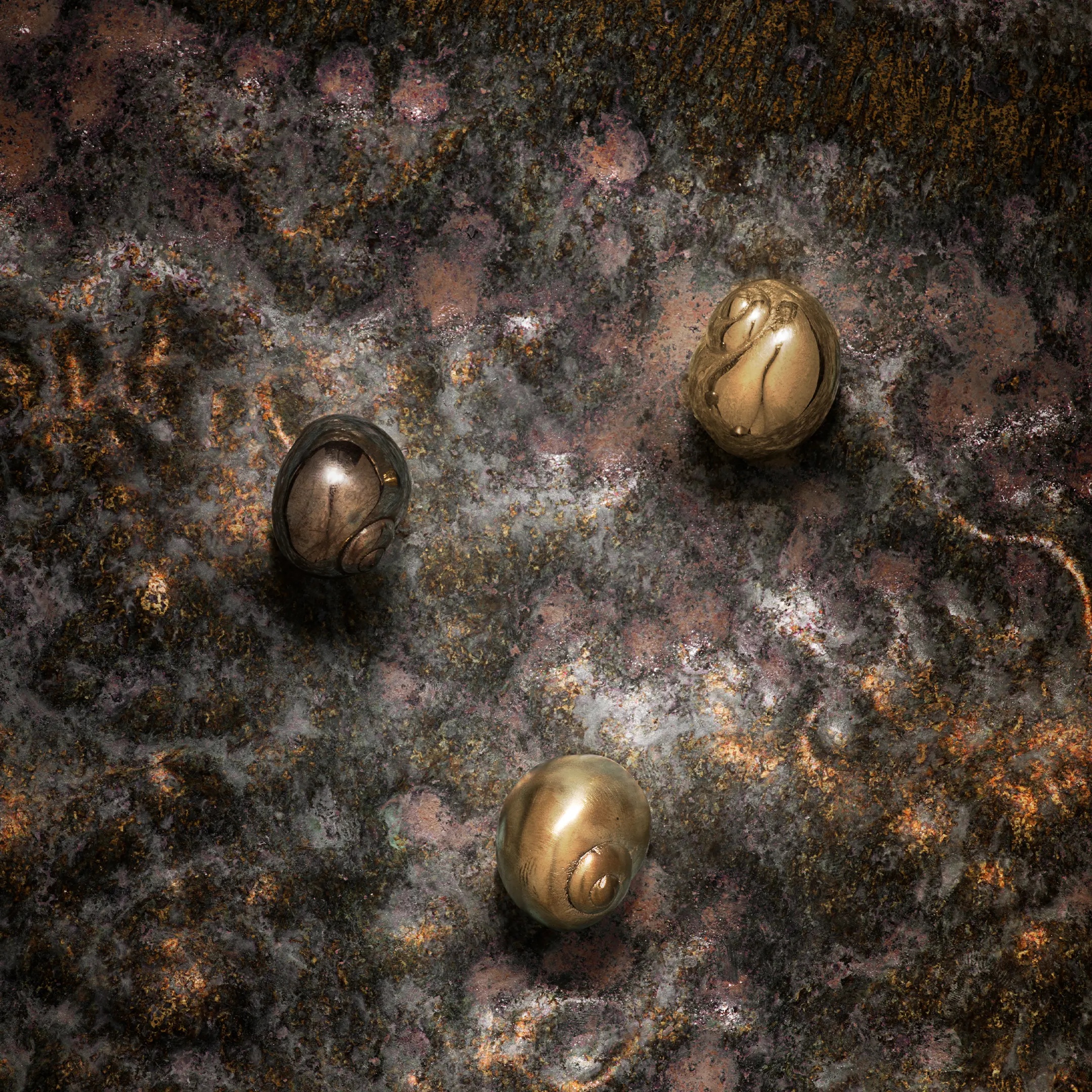 OC2001 Natica PULLCAST Ocean Collection  - Вид №5