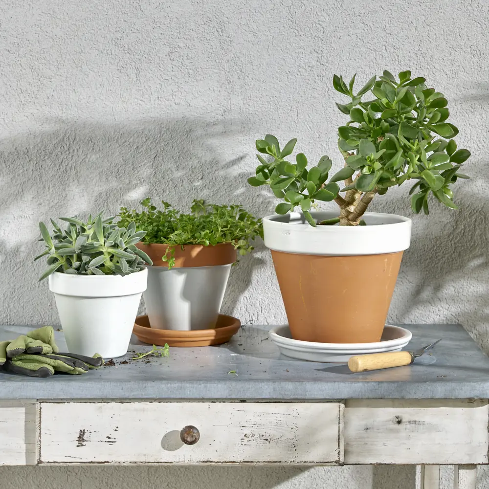 Аэрозольная эмаль LUXENS для интерьера и экстерьера - глянцевый белый 83237374 STLM-0039732 - Вид №3