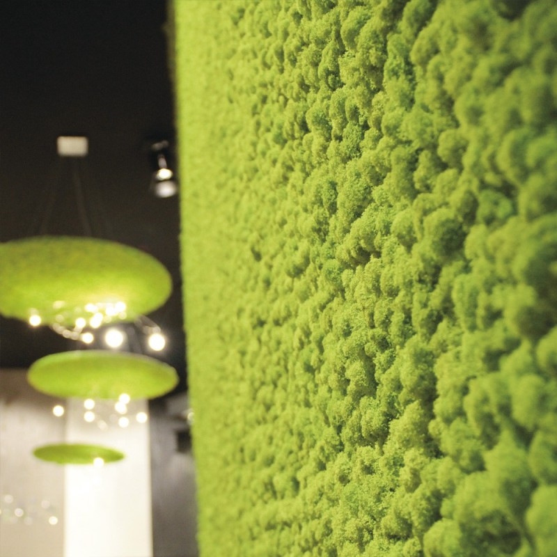 VER001 Лишайник Adriani e Rossi 01 Мох светло-зеленый  - Вид №20