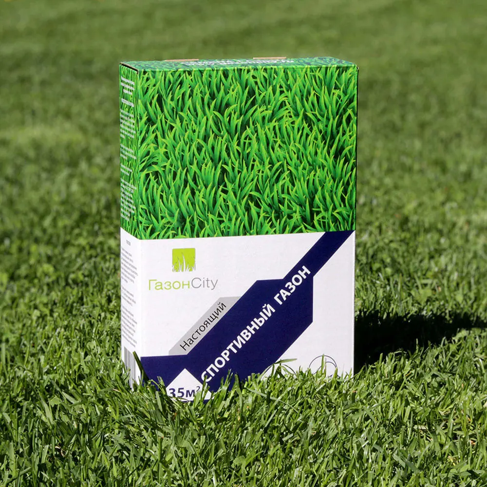 Семена газона Газонcity Спортивный 1 кг STLM-2023101 - Вид №1