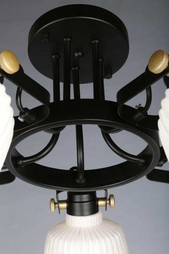 Потолочная люстра Omnilux OML-28207-05 OMNILUX OML-2820 183579 Белый  - Вид №3