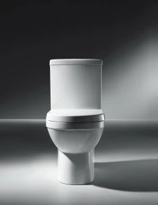 CX01014UW Компакт унитаз с бачком Белый Bravat New Moon Турция