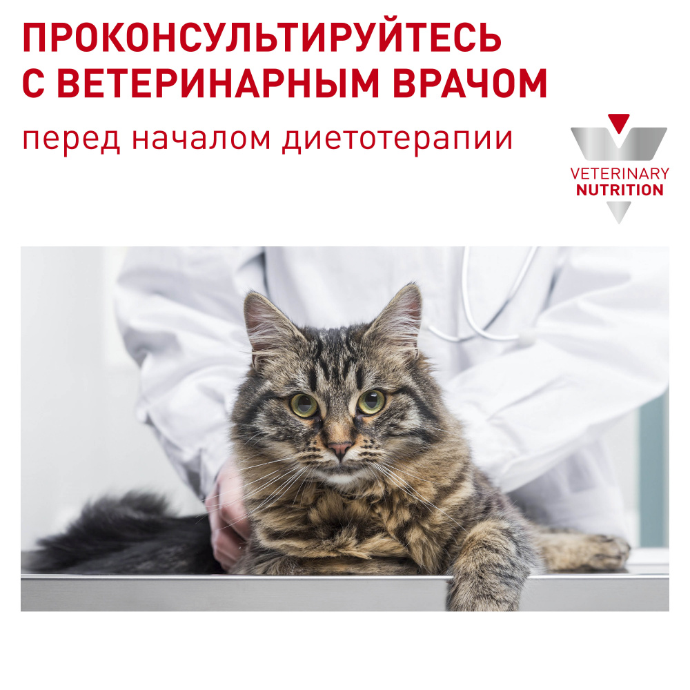 ПР0053541 Корм для кошек Vet Diet Senior Consult Stage 1 старше 7 лет 1-я стадия старения сух. 10кг ROYAL CANIN  - Вид №6