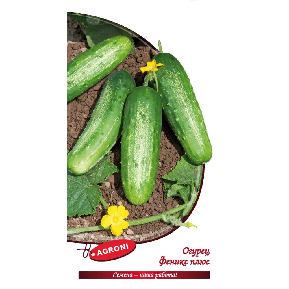 Семена огурца Феникс плюс AGRONI 89400842 STLM-1569837