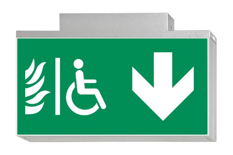 DST-808 Lisu ceiling-mounted Daisalux Светильники аварийные Серебристо-Серый 