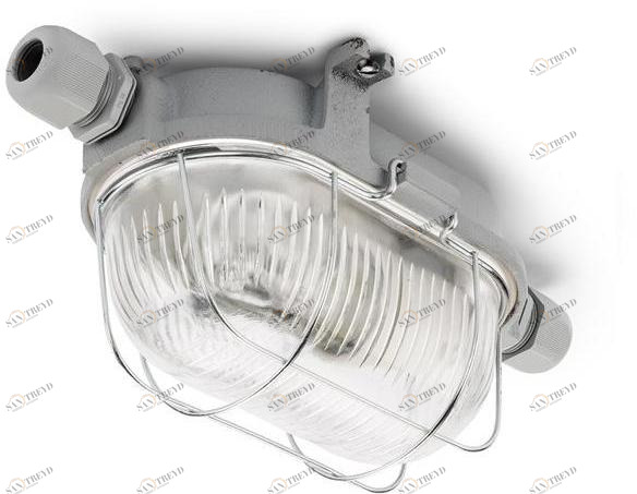 THPG Уличный потолочный светильник  100503 