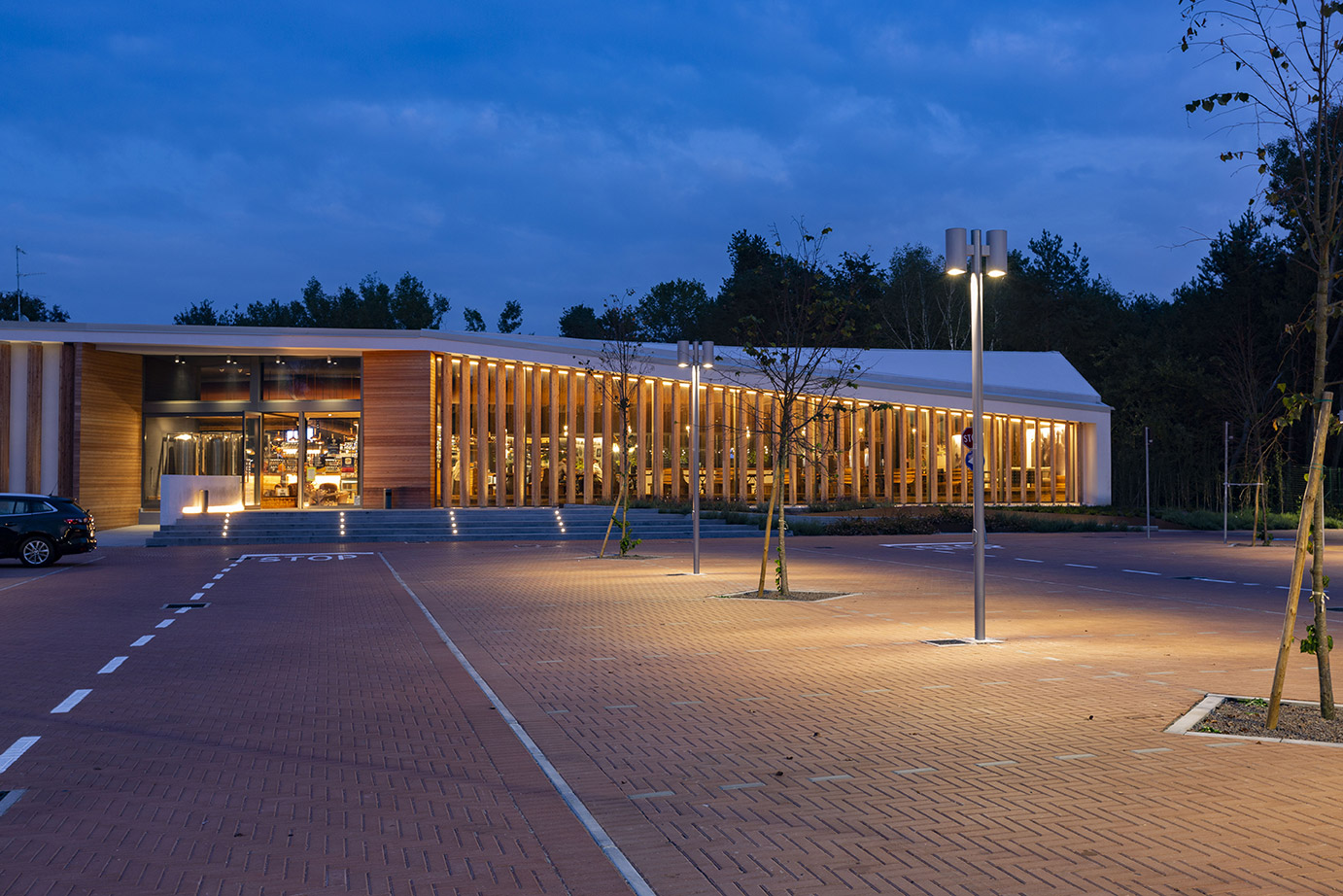 8755769 Уличное освещение  Platek MONACO Su palo  MONACO - LED 4000K Street optic  - Вид №2