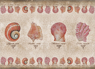 01561 Декупажная карта 30.8 x 44 см СК "Малакология" Чип-Арт 