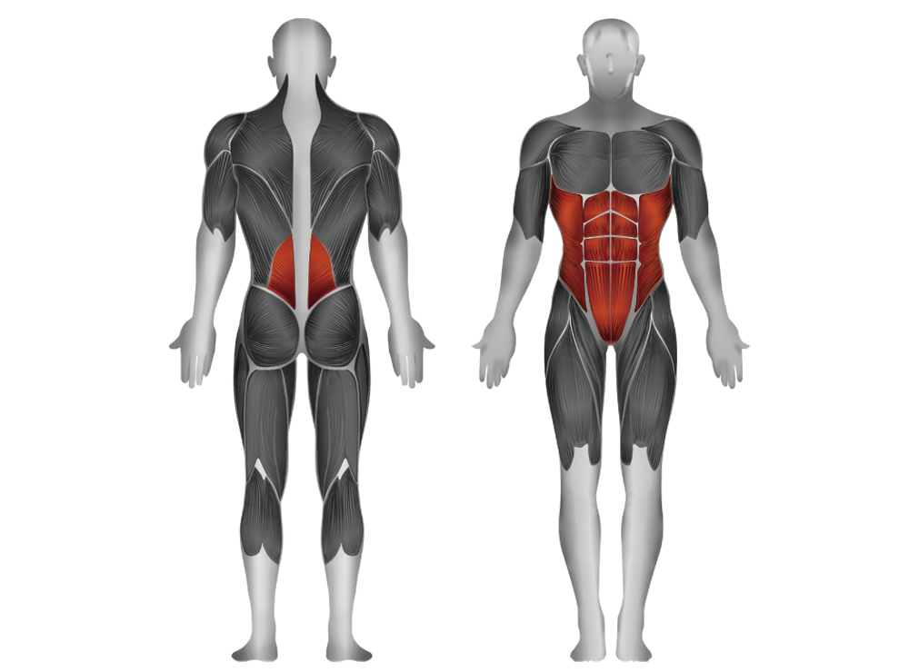 CL2AB Steel flex club line cl2ab пресса / спина Steel Flex Club Line  - Вид №2