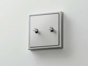 JUNG Двойной переключатель из алюминия Ls 1912