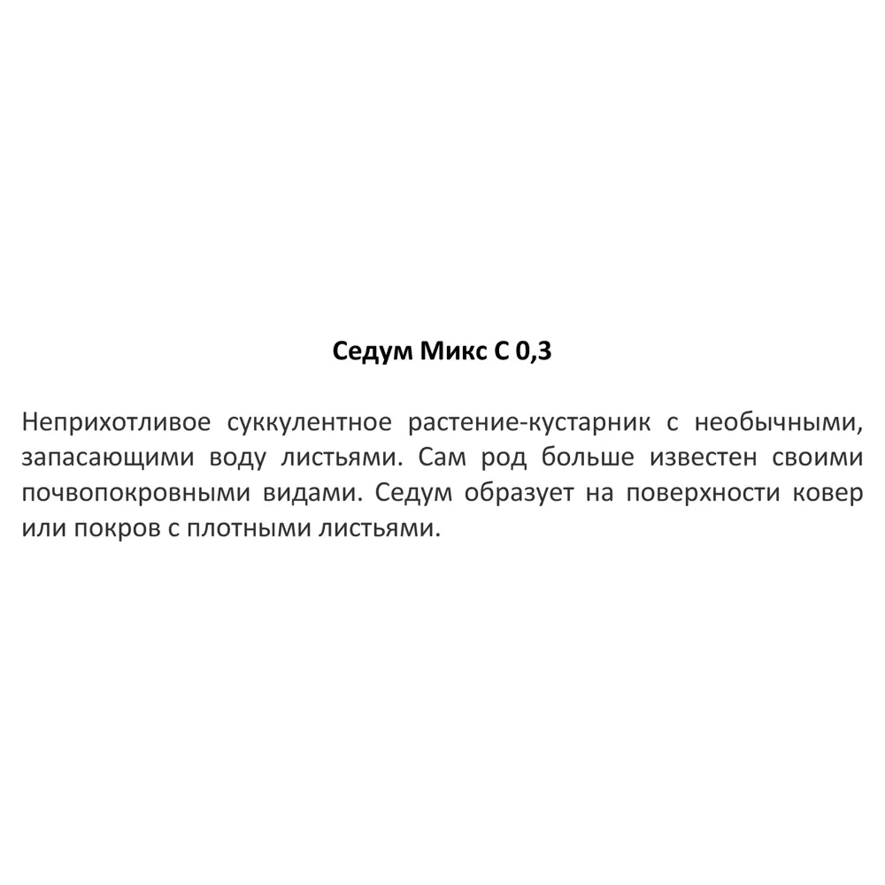 Очиток Микс h15 см 84845148 STLM-2203108 Santreyd  - Вид №2