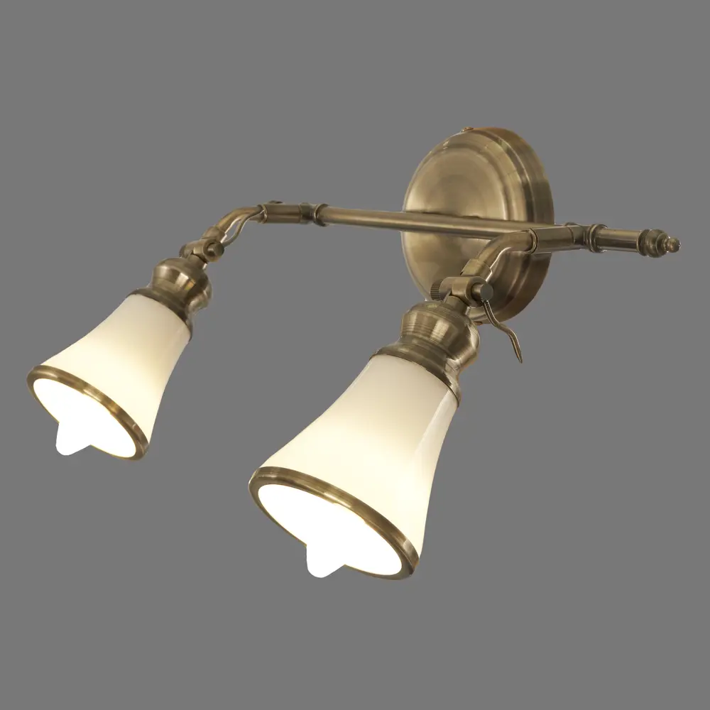 Спот поворотный Veno 2xE14x40 Вт металл цвет бронза Arte Lamp STLM-2114316 - Вид №2