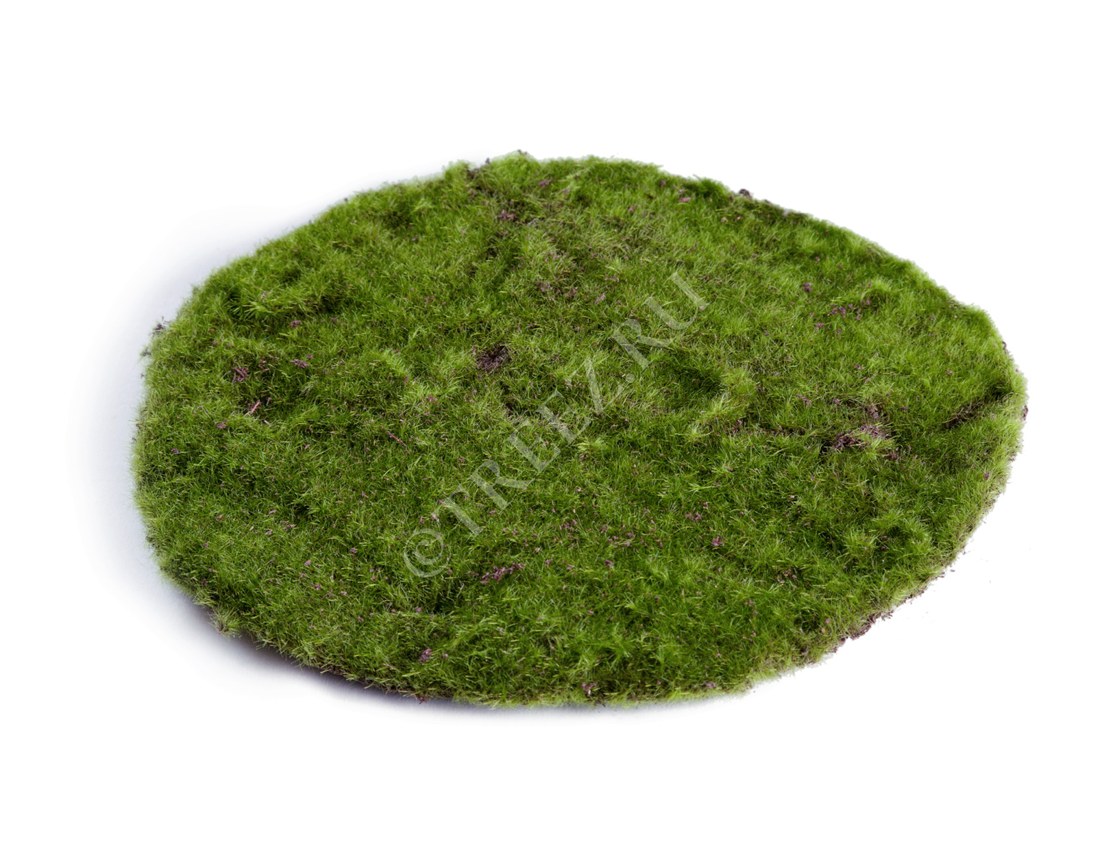30.0610018 Мох Круглый большой д-30 см Цветочная коллекция 