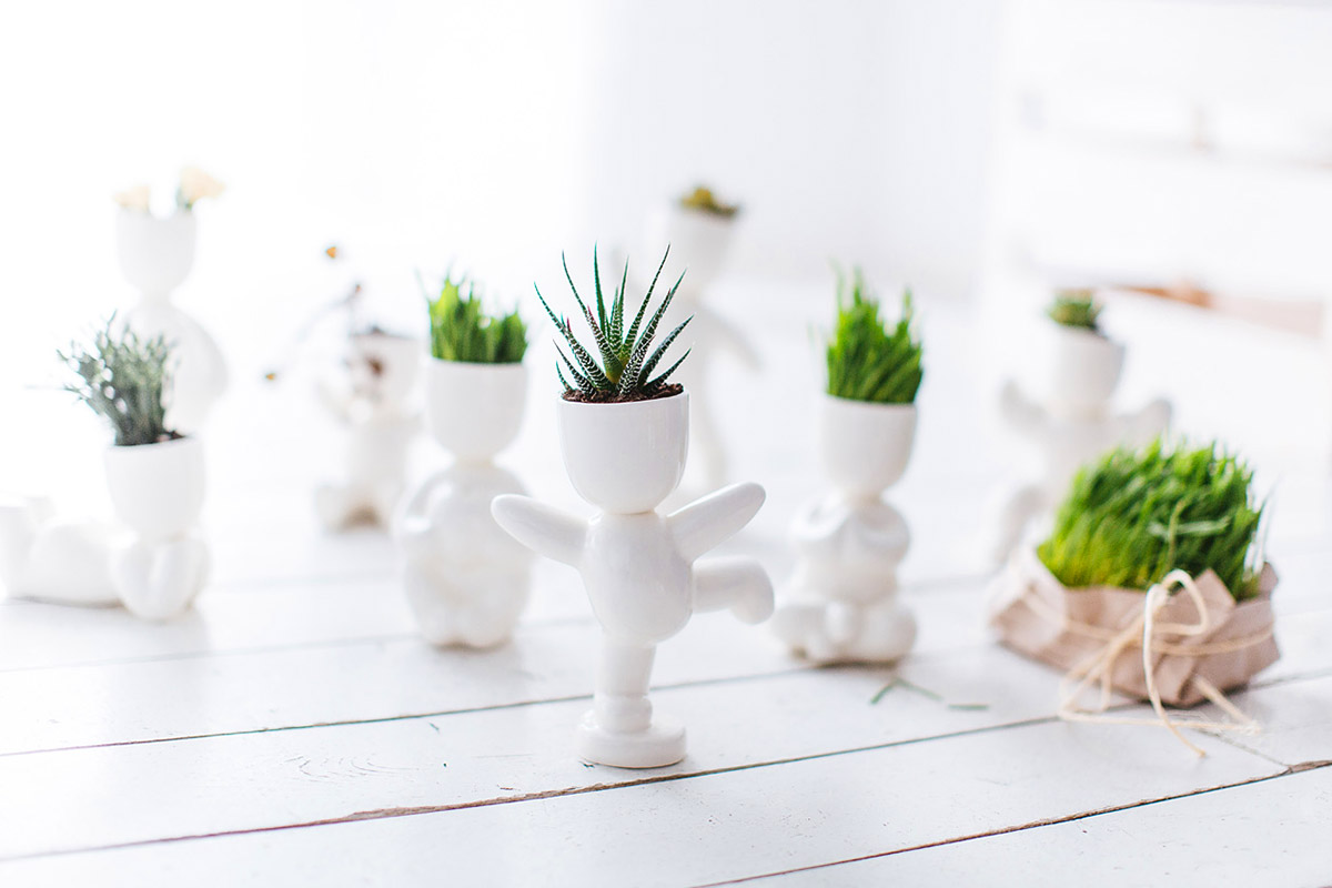 1001 Набор для выращивания eco танцор Экочеловеки  - Вид №1