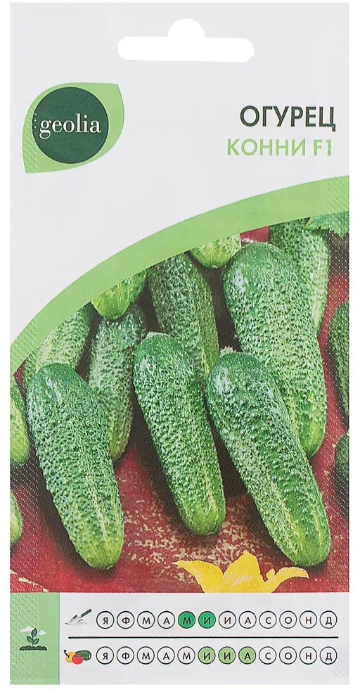 Семена огурцов GEOLIA Конни - ранний урожайный гибрид 17584807
