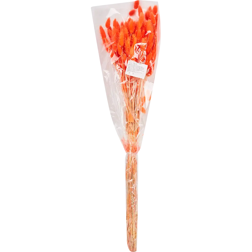 Букет из сухих цветов Лагурус микс 1 70 см Santreyd STLM-2132636 - Вид №2