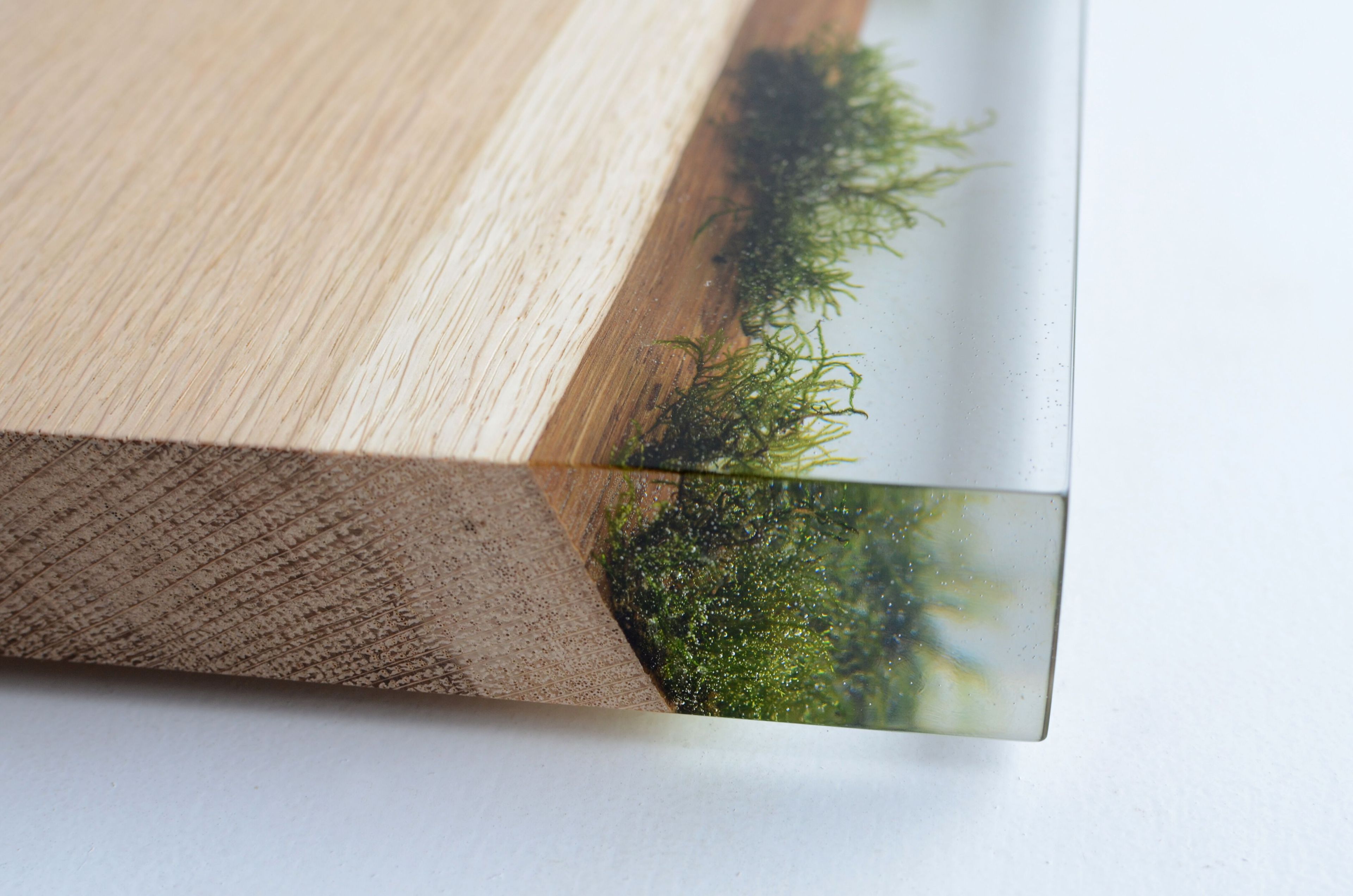 Модульная полка из массива дерева alcarol Undergrowth ARCH-00035839 - Вид №4