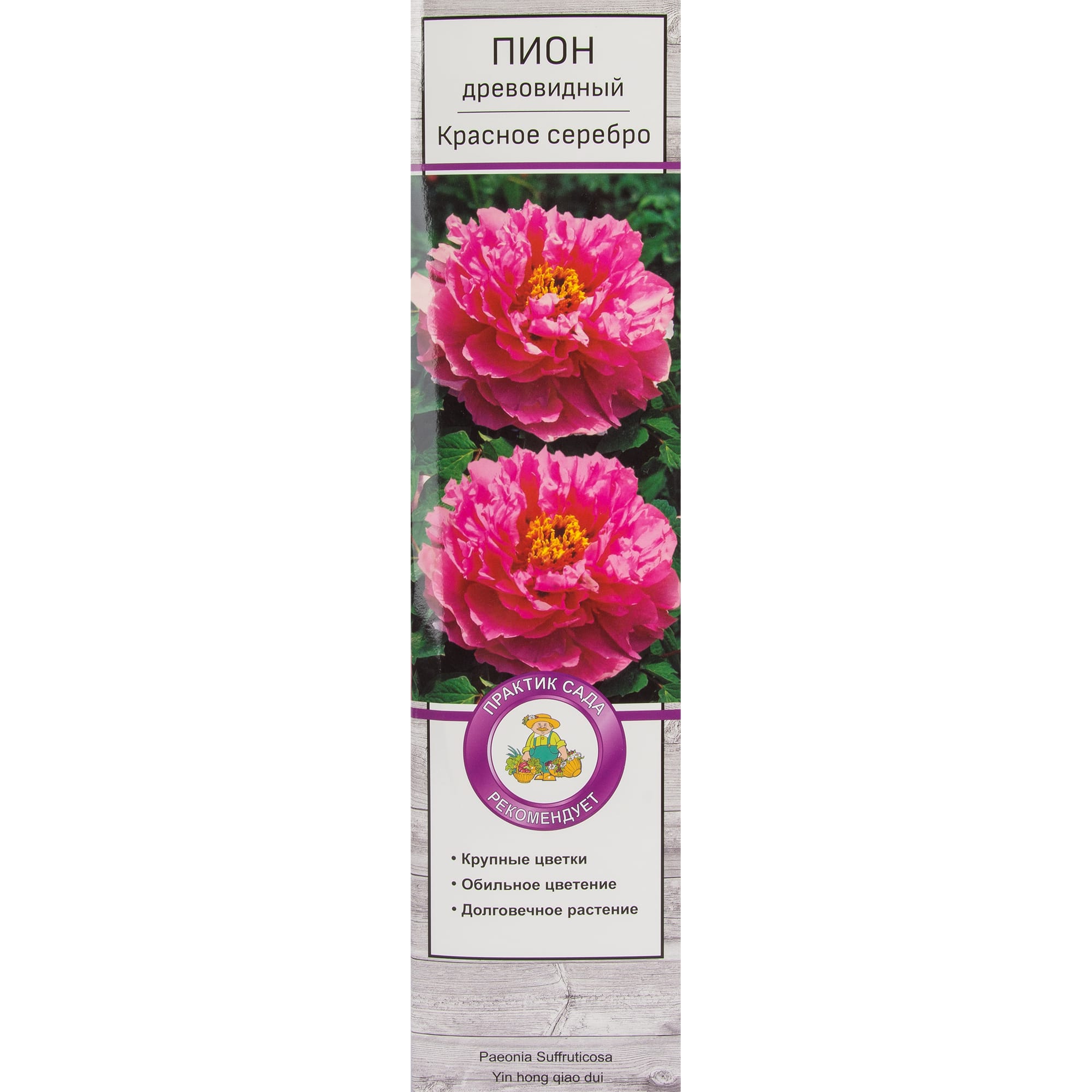 82527824 Пион древовидный Красное Серебро Santreyd 