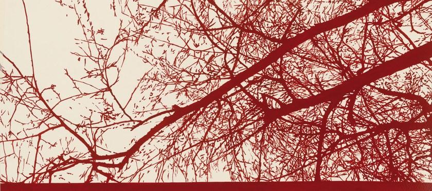 Обои на стену Collezioni d'arte 56096 Santreyd - Вид №1