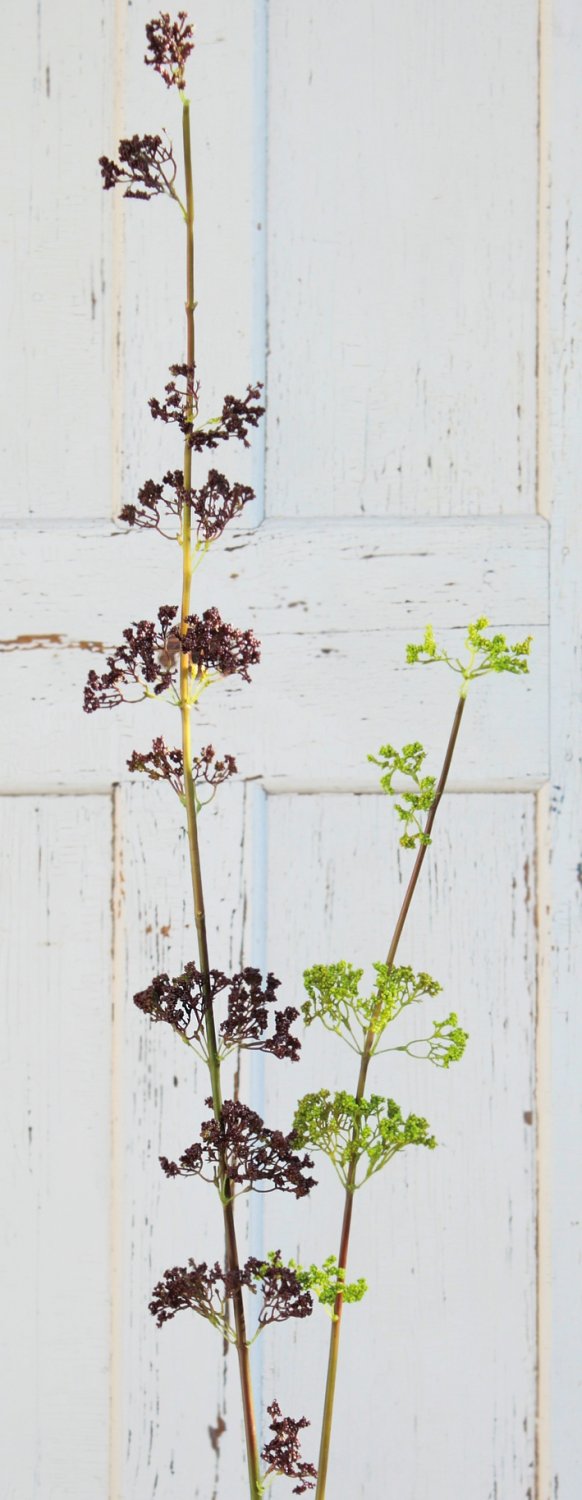 1953 666 a3 Спрей шелк ягодный, 120 см, коричневый H-andreas  - Вид №1