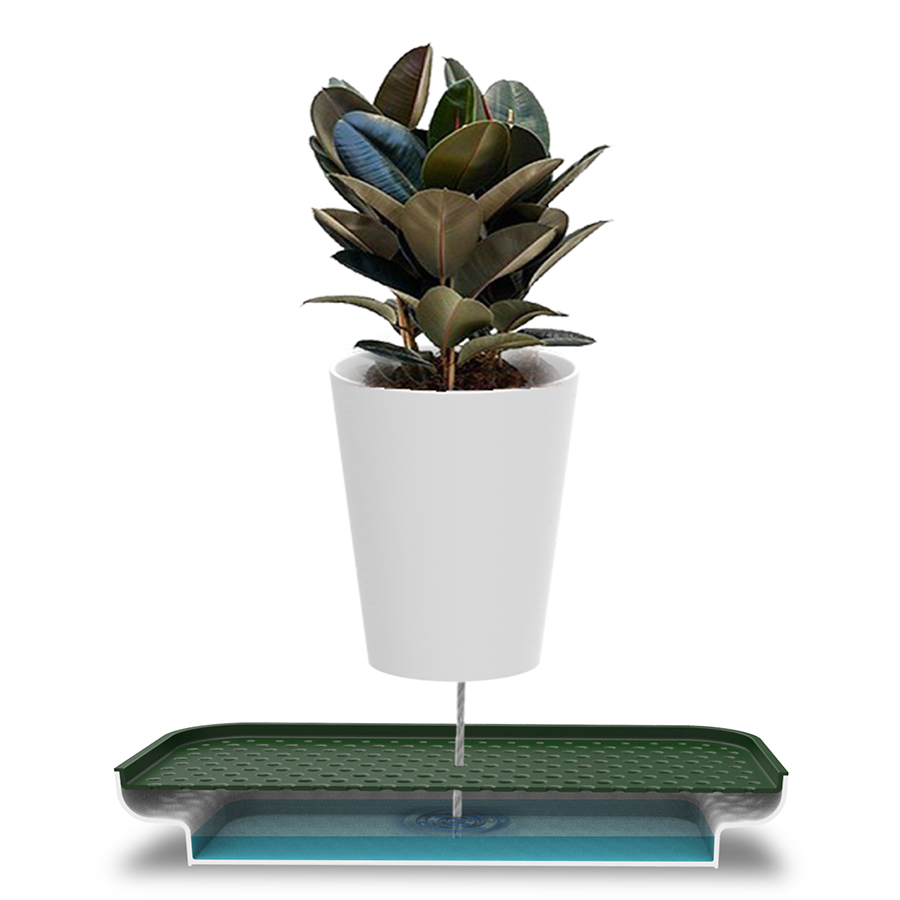 QL10309-WH-GY Лоток для полива растений oasis tray белый Qualy  - Вид №8